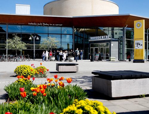 Lärarnas forskningskonvent 2026 – tema undervisningsutveckling