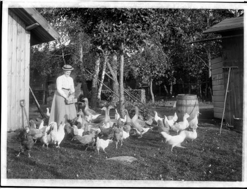 Trädgårdsutbildning för kvinor