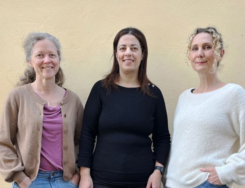 Så kan lek bli språkutvecklande på förskolan